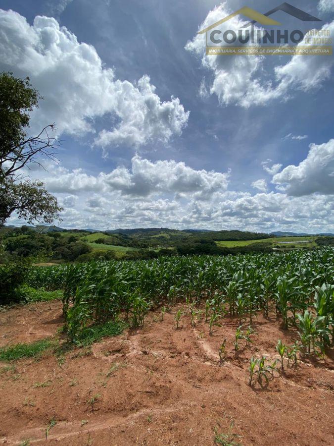 WhatsApp Image 2025-12-11 at 13.22.45.jpeg